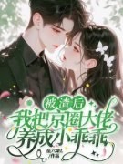 沈朝夕林战林泽被渣后，我把京圈