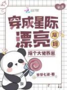 南笙闻人怀域全文免费阅读(穿成星