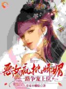 《沐婷君沐婷婉》小说精彩试读 《