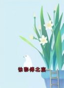 徐黎傅北宸全文免费阅读 徐黎傅北