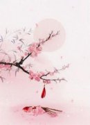 《重生换嫁：短命夫君归我喽》小