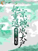 热文《重生三年后，她重返京城成