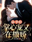《汪晚凝陆峙岳》小说最新章节免