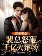 《秦霜裴湛》小说免费阅读 前妻难