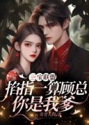《江宁顾景随》最新章节列表 第