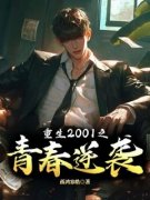 重生2001之青春逆袭精彩章节 叶枫李