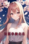 《沈延非姜北北》小说章节列表在