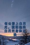 傅嘉轩白婉沈钰小说 《老公爱上白