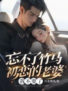 《秦风杨悦舒凡》忘不了竹马初恋