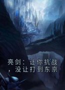 苏辰李云龙全文目录 亮剑：让你抗