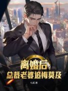 离婚后，总裁老婆追悔莫及楚阳苏