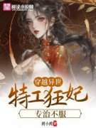 《夜倾城君北辰》小说全文在线阅