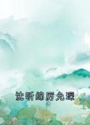 《沈听绵厉允琛》小说章节精彩试