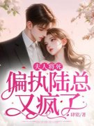 《夫人将死，偏执陆总又疯了》小