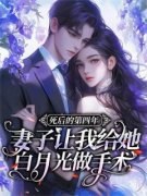 死后的第四年，妻子让我给她白月