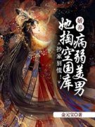 《夏婵傅砚辞》小说大结局在线试