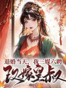 退婚当天，我三媒六聘改嫁皇叔b