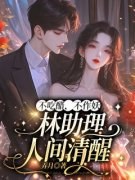 《林汐洛宴沉》小说大结局在线阅