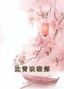 《沈青玦裴邺》小说完结版免费试