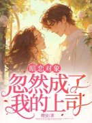 《暗恋对象忽然成了我的上司》小