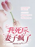 陆白沈岚大结局在线阅读 我死后，