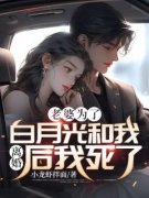《江浩温婉棠》小说阅读 老婆为了