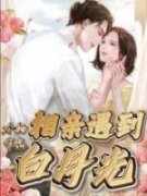 相亲相到白月光精彩章节免费试读