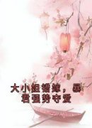 苏九菱墨澈精彩章节免费试读 大小