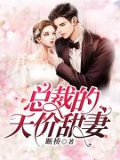 夏蝉夜锦主角总裁的天价甜妻小说