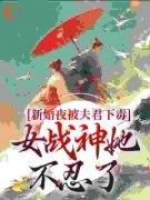 【爆款新书】晏东凰盛景安 新婚夜