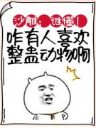 好书推荐《沙雕：谁懂！咋有人喜