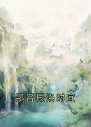 洛时宜邵晋辰小说 《邵晋辰洛时宜