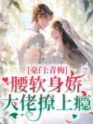 《尹婳陆流光》完结版在线阅读 《