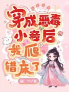 《沈婉青陆忱》小说精彩阅读 《沈