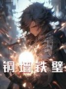 《铜墙铁壁》小说全文免费试读 《