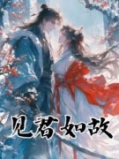 《见君如故》慕容雪宋宣全部章节
