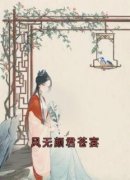 风无颜君苍宴小说免费阅读 风无颜