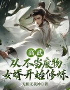 【爆款新书】叶鸿邱婉 高武：从不