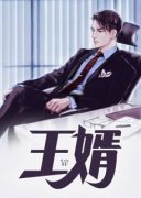 王婿小说 陈华杨紫曦(王婿)小说阅