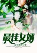 《林羽江颜》小说主角最佳女婿全