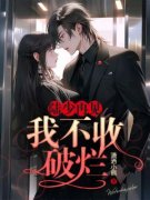《陆少再见，我不收破烂》南云葶