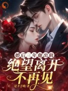 何婉慕怀安完整版在线阅读（主角