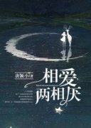 《封心锁爱:男神大佬求复合》袁鹿