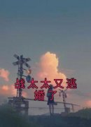 《宁夕战勋爵》(战太太又逃婚了