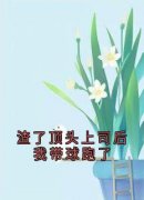 《舒白沈彦》小说全文精彩阅读 《