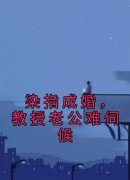 《林思柔傅暖》小说章节在线试读