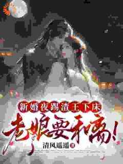 新婚夜踢渣王下床，老娘要和离！