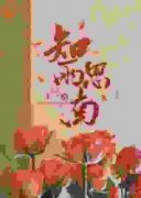 《知雨思南》沈知雨陆斯南章节在