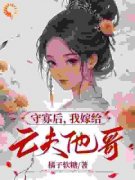 《守寡后，我嫁给亡夫他哥》小说