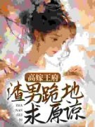 高嫁王府，渣男跪地求原谅完整全